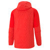 Puma Mens Evostripe Hoodie  - High Risk Red