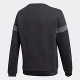 Adidas Boys Branded Crew Sweatshirt - Black/White
