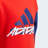 Adidas Boys Fleece Crewneck  - Vivid Red