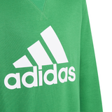 Adidas Boys Big Logo Sweatshirt - Green/White